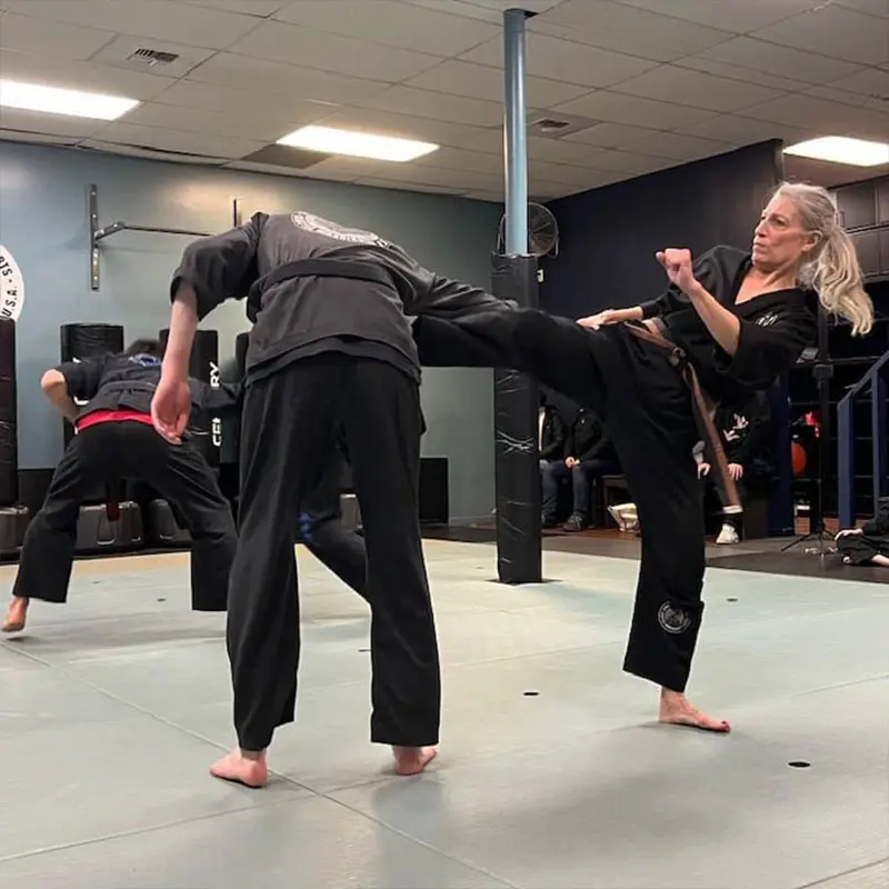 Adult Martial Arts Classes | Alpha Martial Arts Ravenna