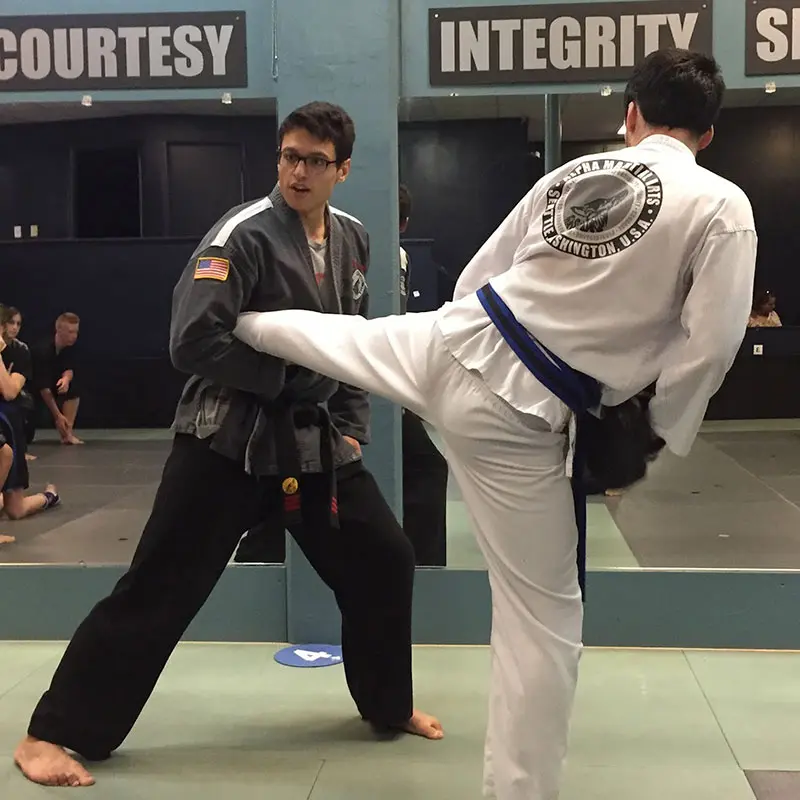 Adult Martial Arts Classes | Alpha Martial Arts Ravenna