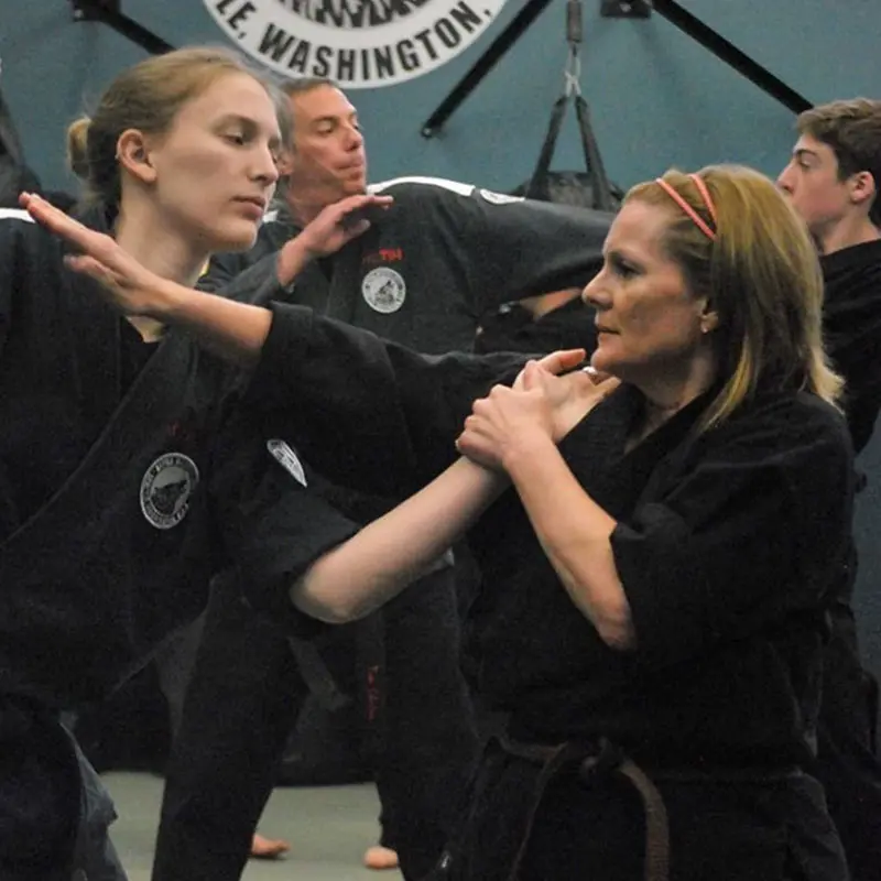 Adult Martial Arts Classes | Alpha Martial Arts Ravenna